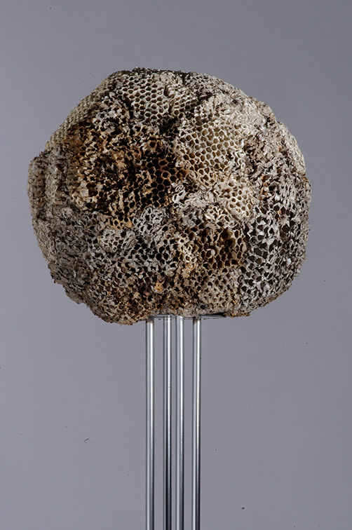 Gale Jamieson sculpture, Bee Ball